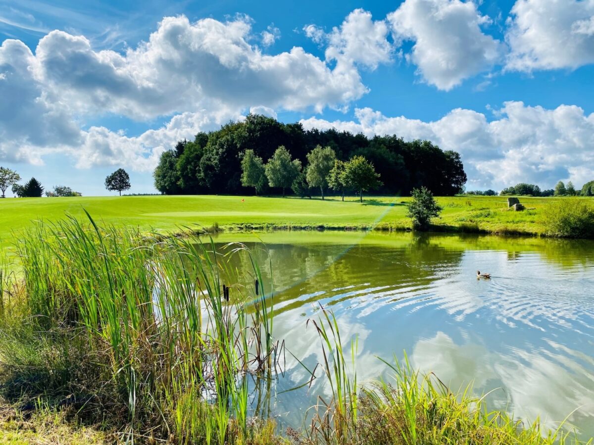 Golfplatz des Golfclub Mudau