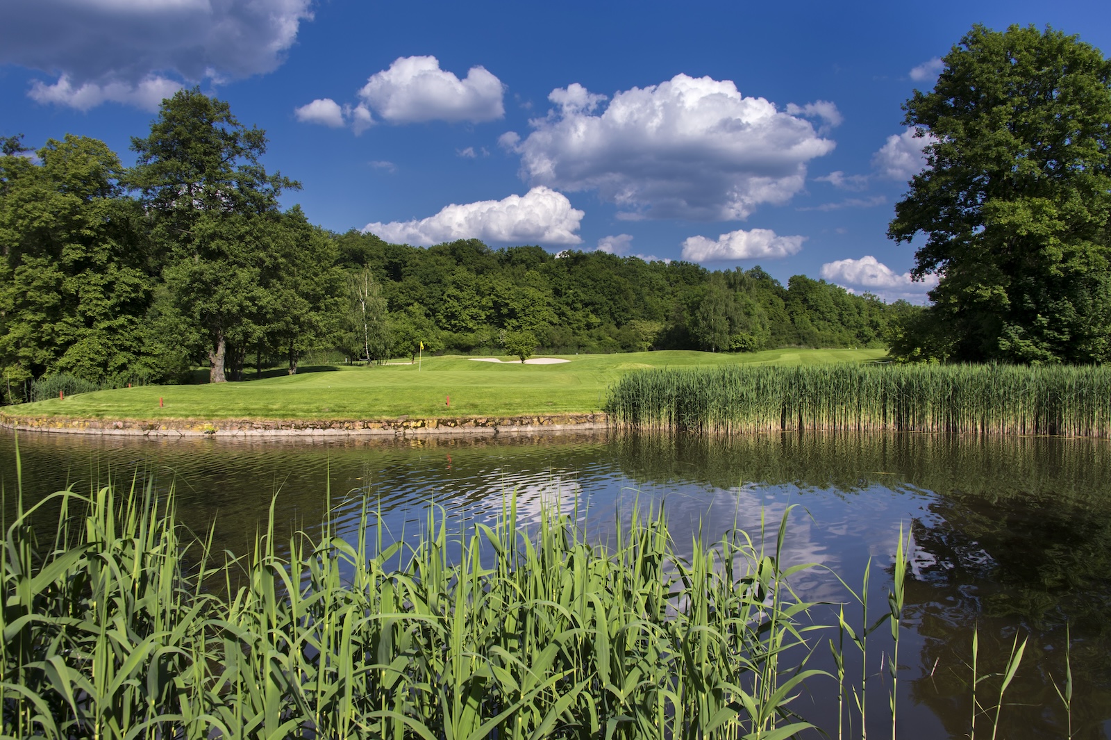 Golfclub in der Rhein-Main-Region: Golf-Club Neuhof, Parkland-Platz
