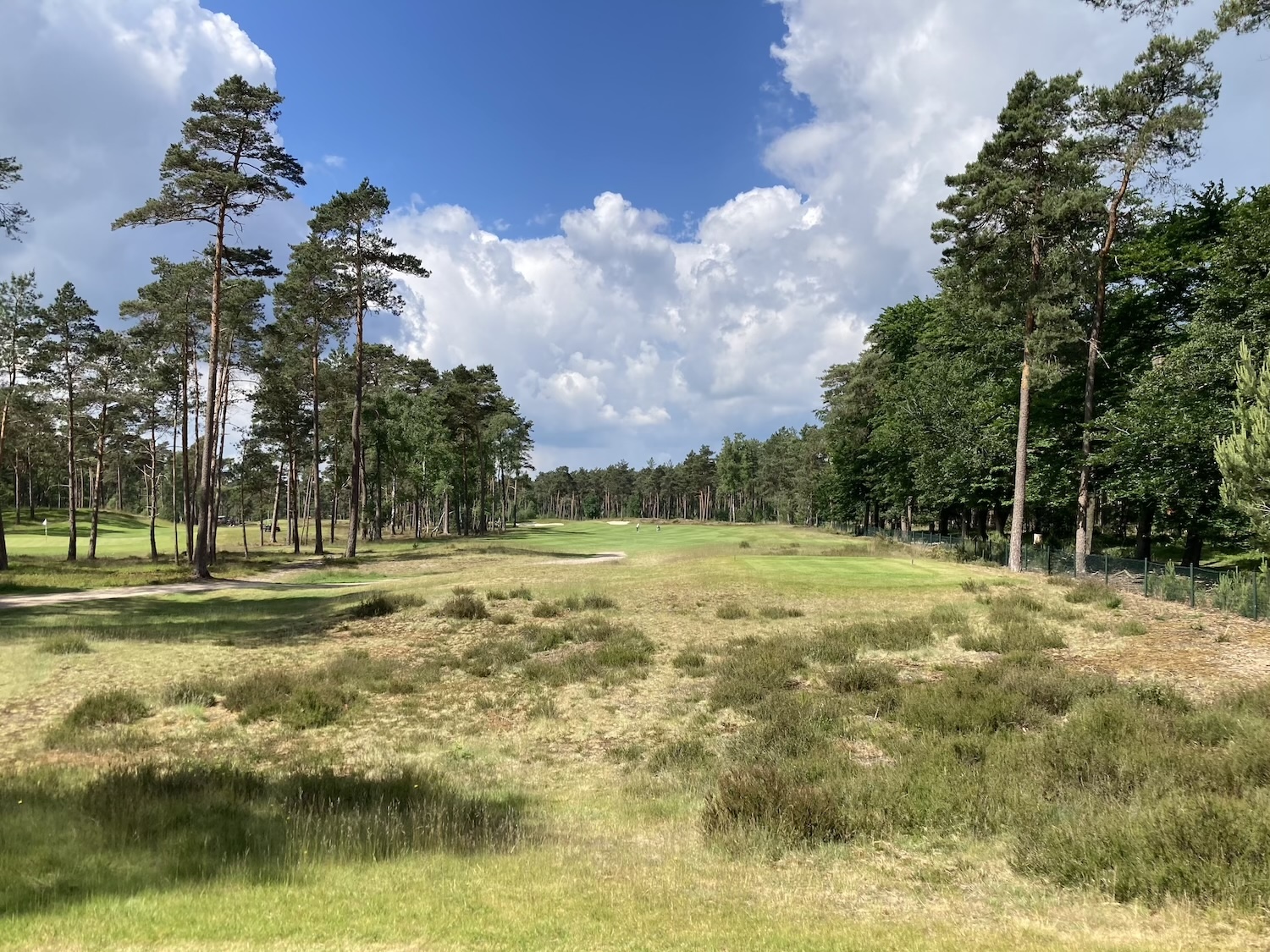 Bei einer Golfreise in die Niederlande darf der Rosendaelsche Golf Club nicht fehlen.