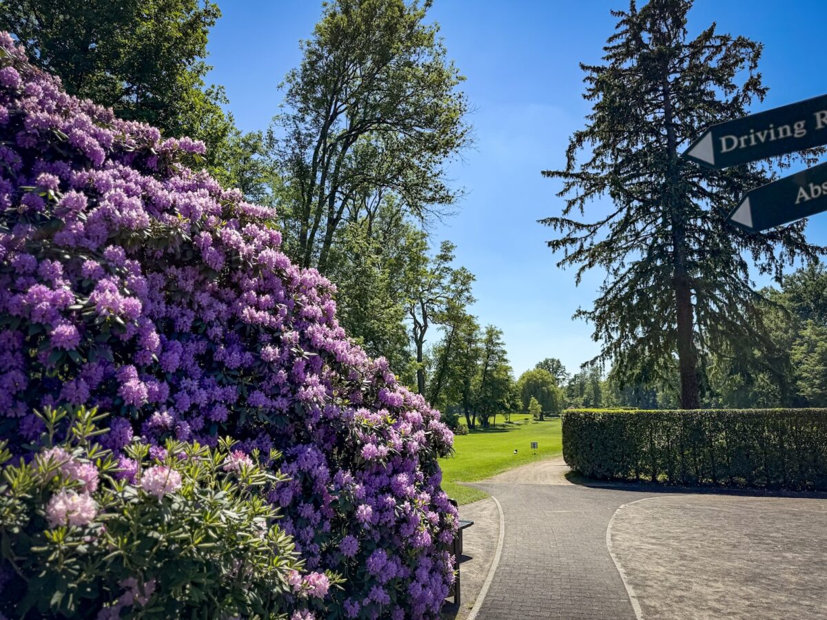 Golf Club Hanau-Wilhelmsbad