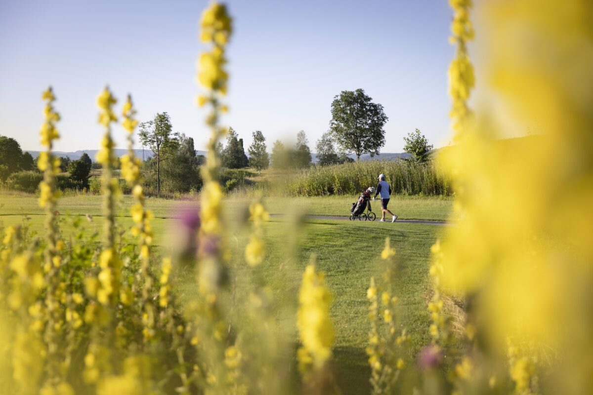 Inland-Links-Course des Golfpark Rosenhof