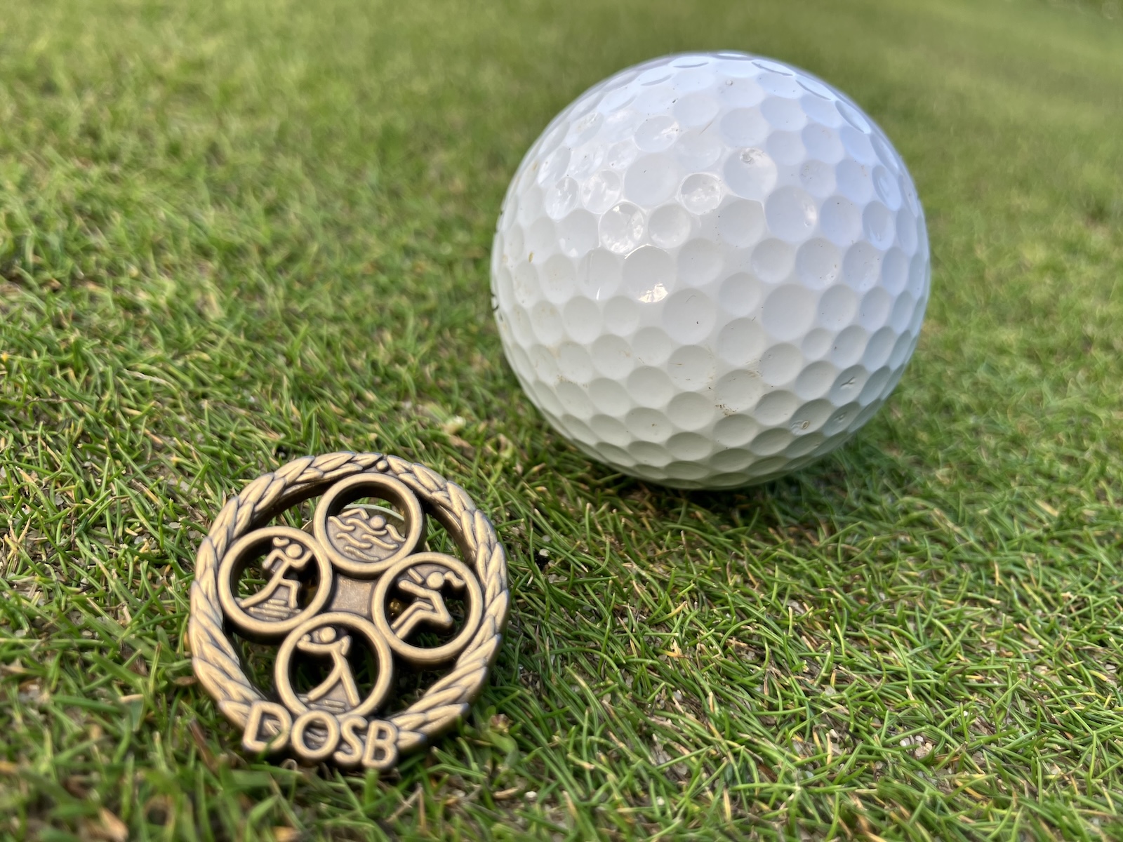 Grundsteuer Golfclubs DOSB