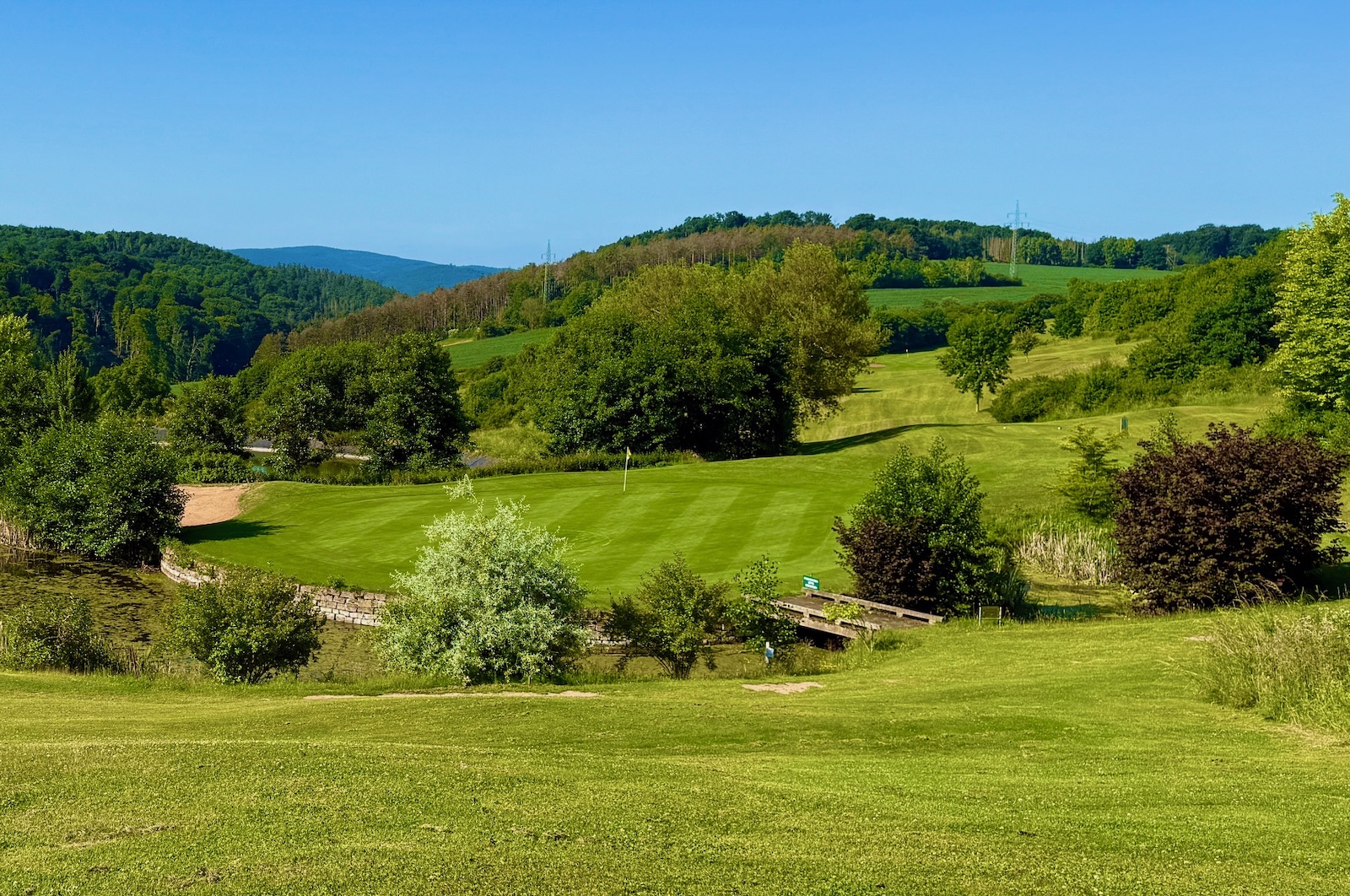 Der halbe Platz des Golfclub Waldeck soll für das Drachenfest weichen