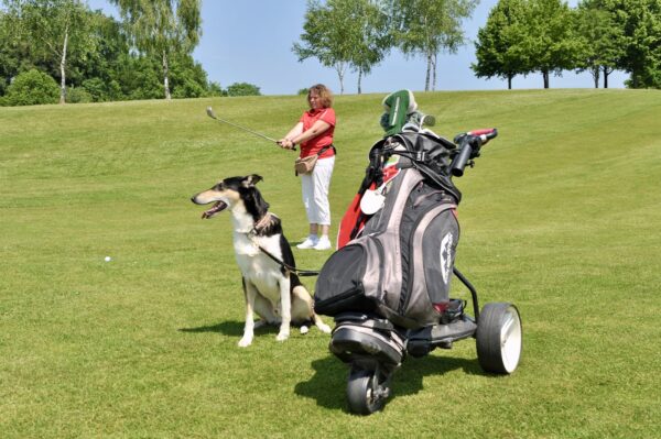Golf mit Hund: Wau, was für ein Schlag!