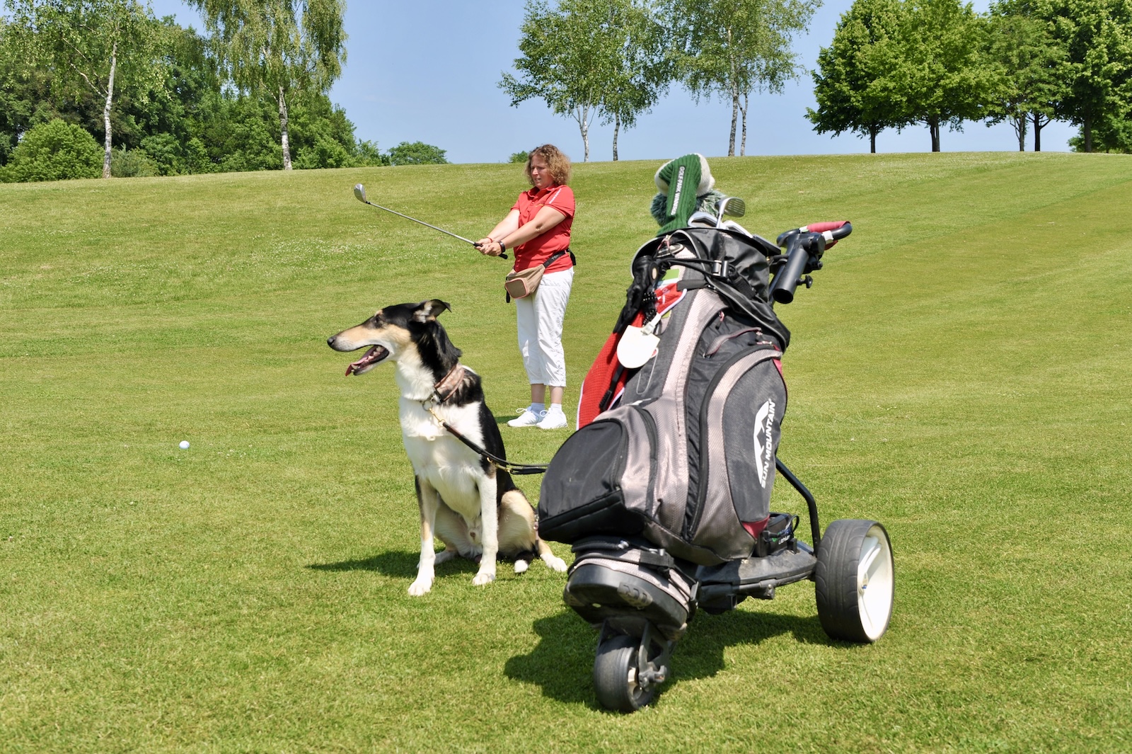 Golf mit Hund