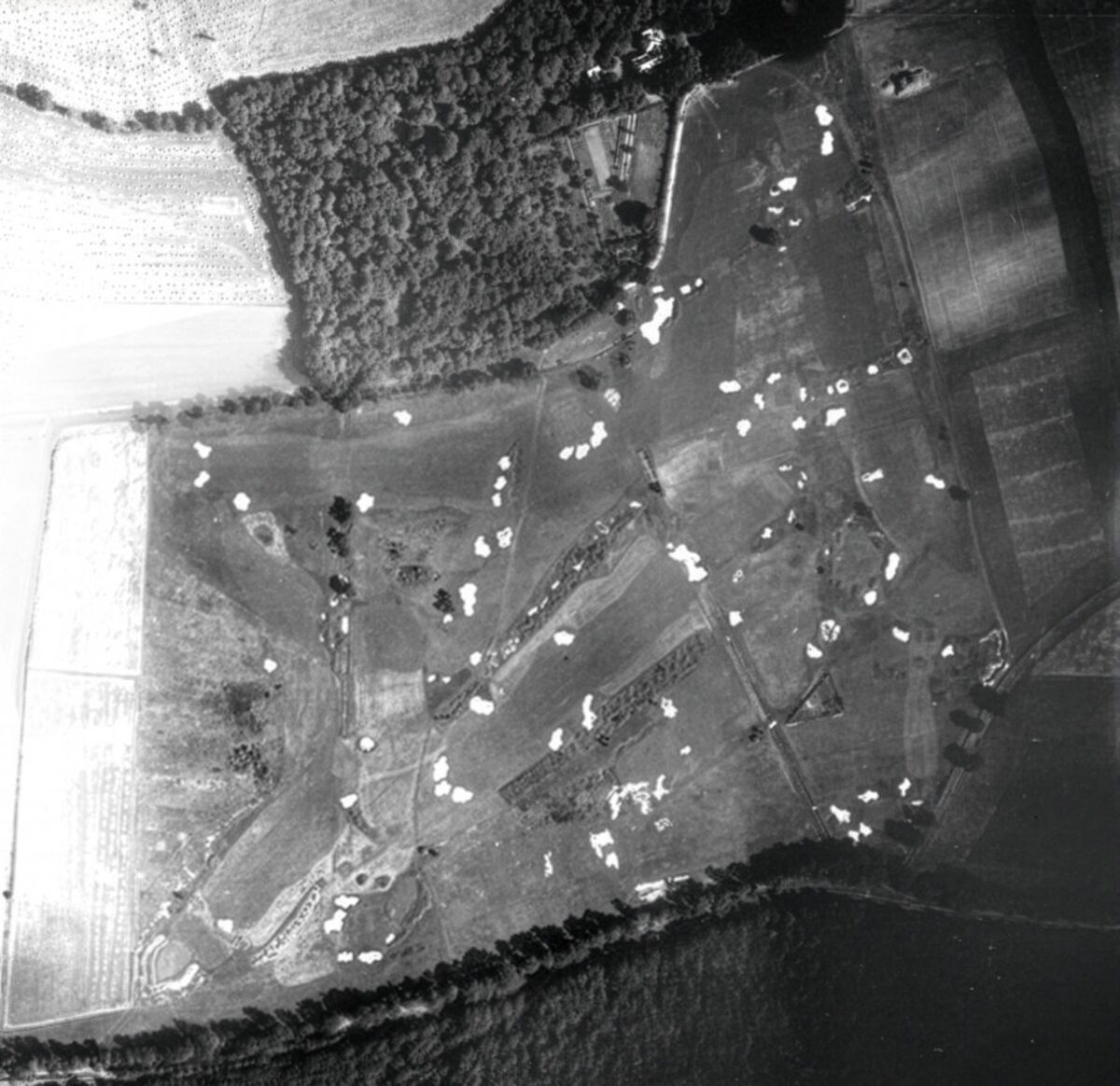 Luftbild vom Golfplatz Frankfurt Goldstein