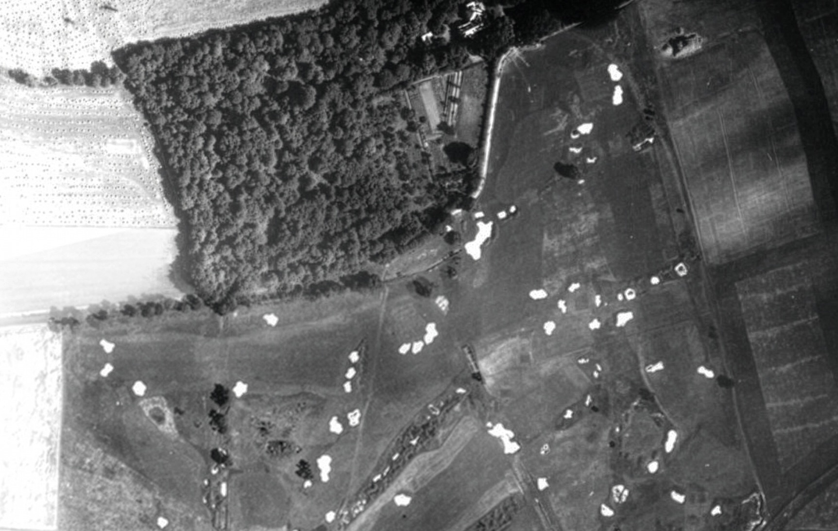 Luftbild vom ersten Frankfurter Golfplatz in Goldstein